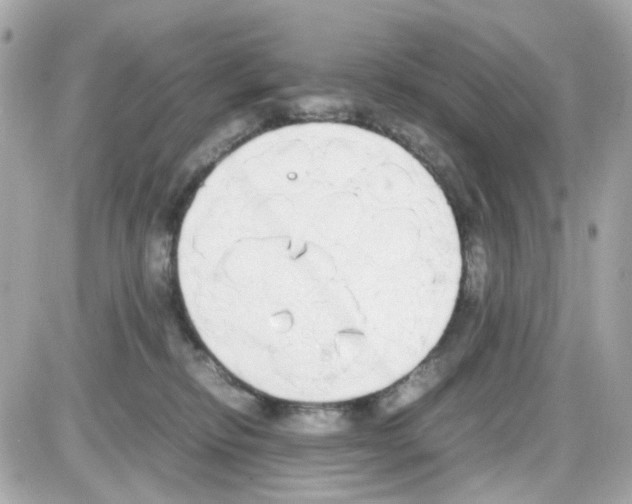 X0000085250278200704092056