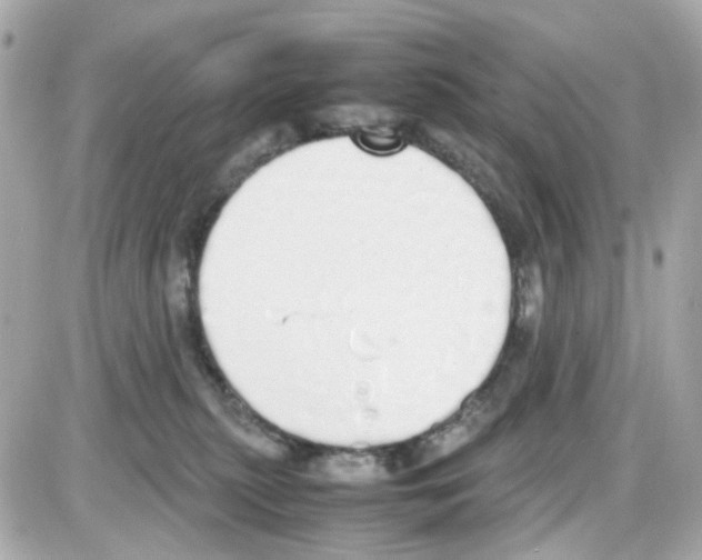 X0000085250279200704092056