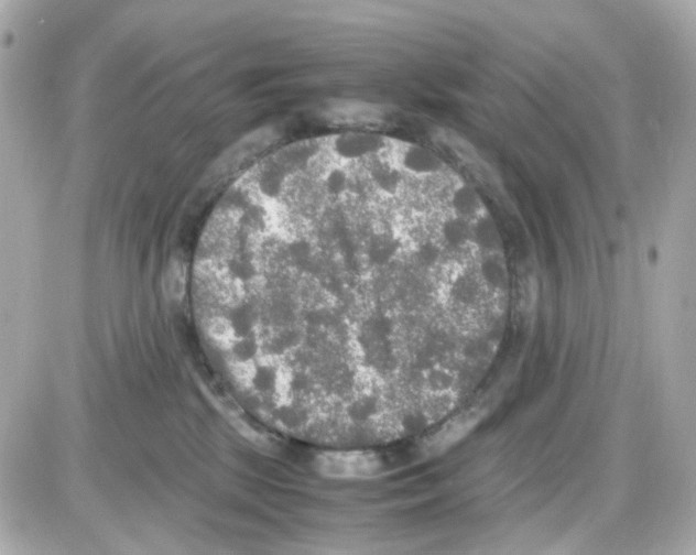 X0000085250281200704092056