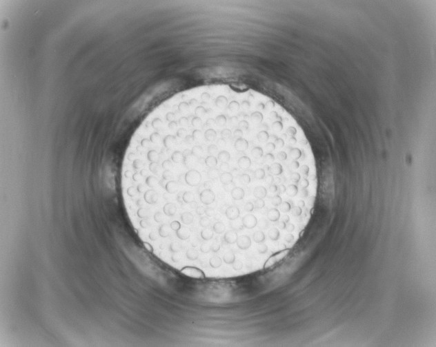 X0000085250282200704092056