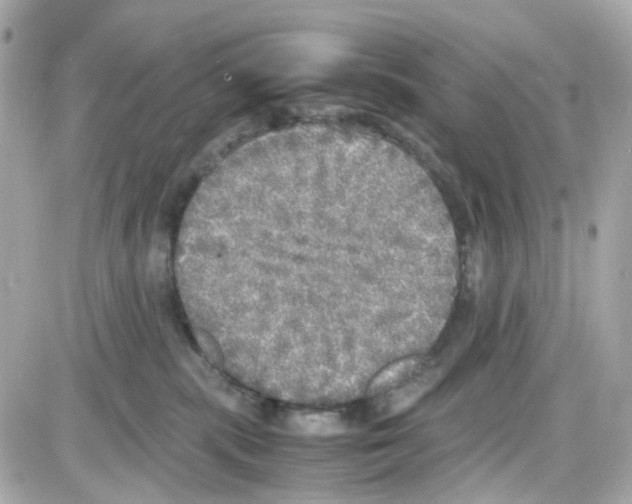 X0000085250283200704092057