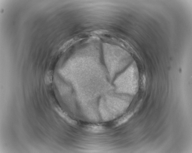 X0000085250284200704092057