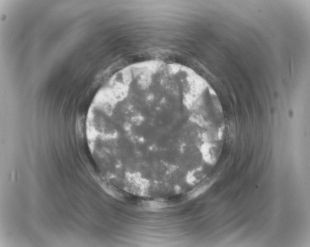 X0000085250286200704092057