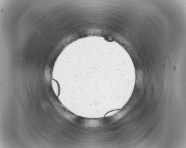 X0000085250287200704092057