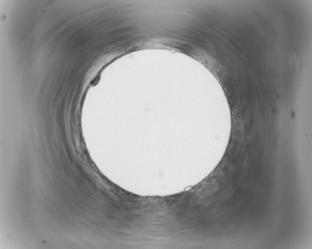 X0000085250289200704092056