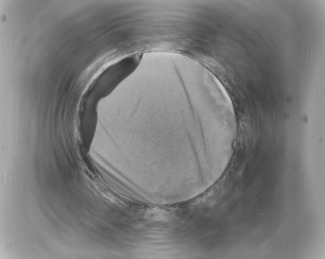 X0000085250290200704092056