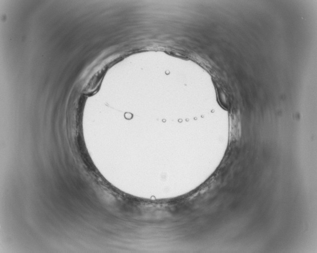 X0000085250291200704092056