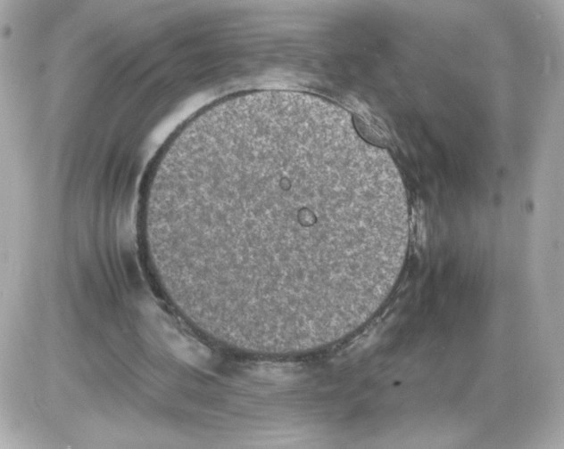 X0000085250292200704092056