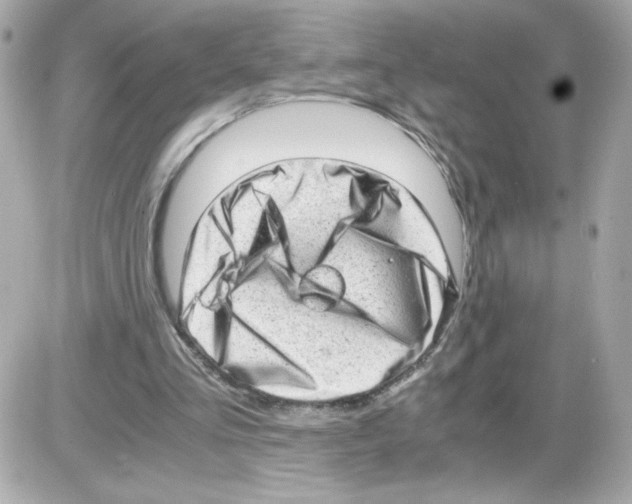 X0000085250293200704092056