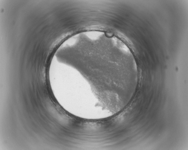 X0000085250298200704092056