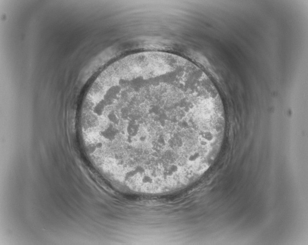 X0000085250299200704092056