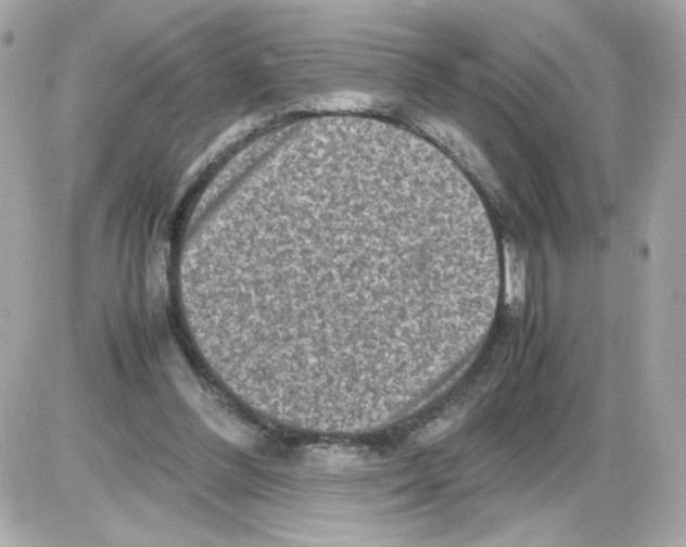 X0000085250300200704092056