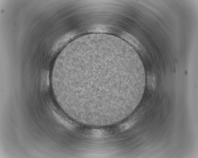 X0000085250302200704092056