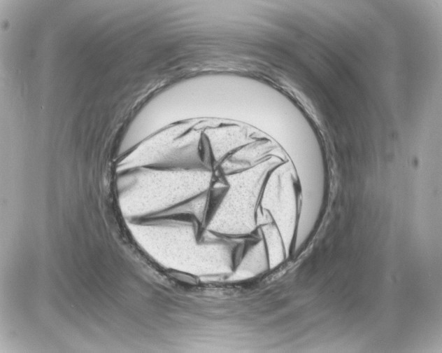 X0000085250305200704092056