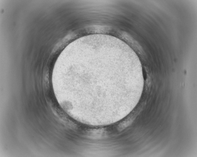 X0000085250306200704092056