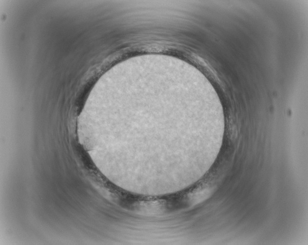 X0000085250307200704092055