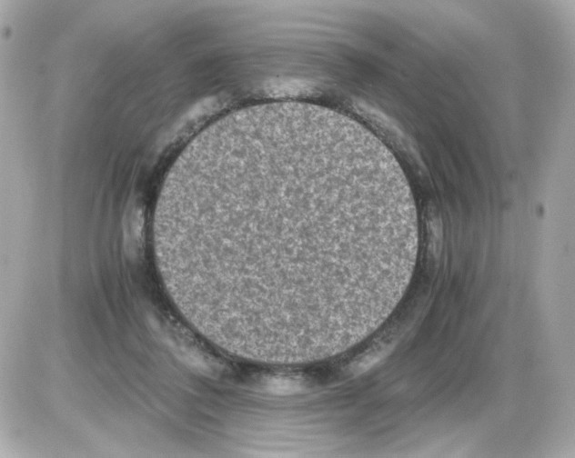 X0000085250308200704092055