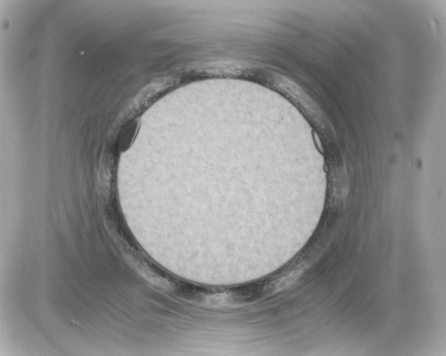 X0000085250309200704092055