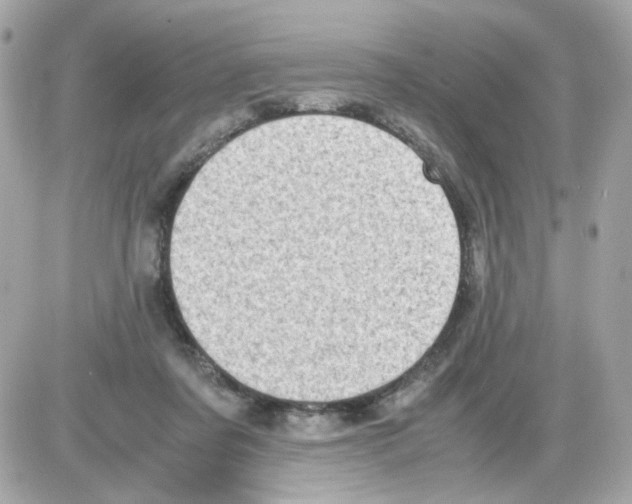 X0000085250311200704092055