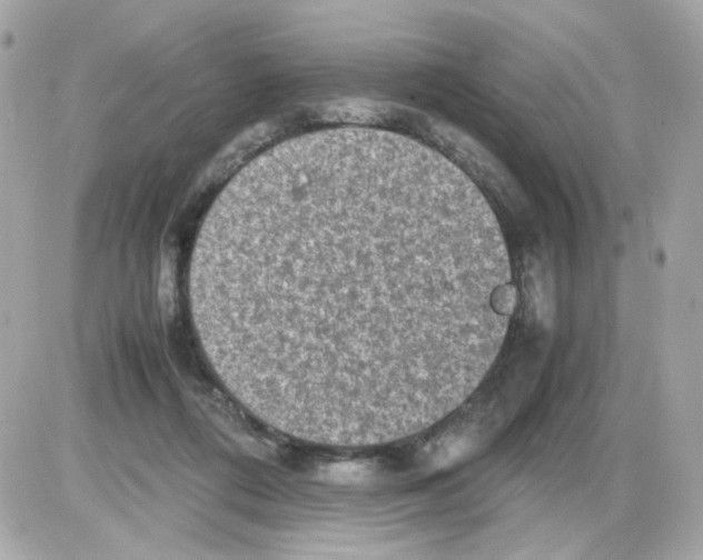 X0000085250312200704092055