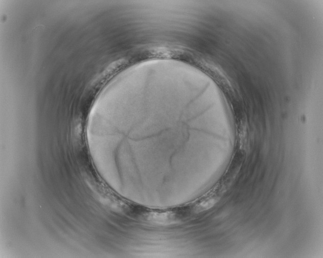 X0000085250314200704092055