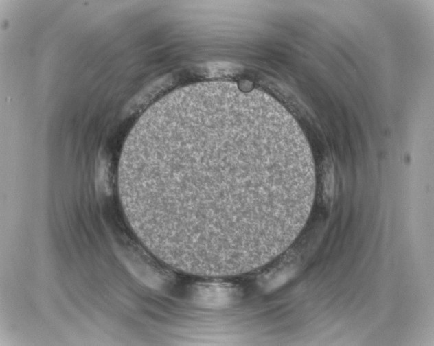 X0000085250316200704092055