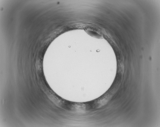 X0000085250317200704092055