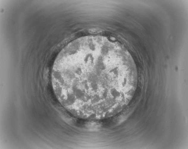 X0000085250319200704092055