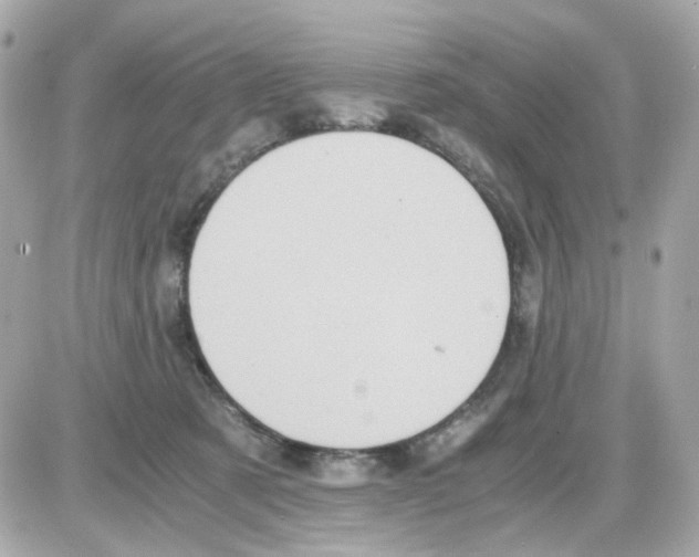 X0000085250321200704092055