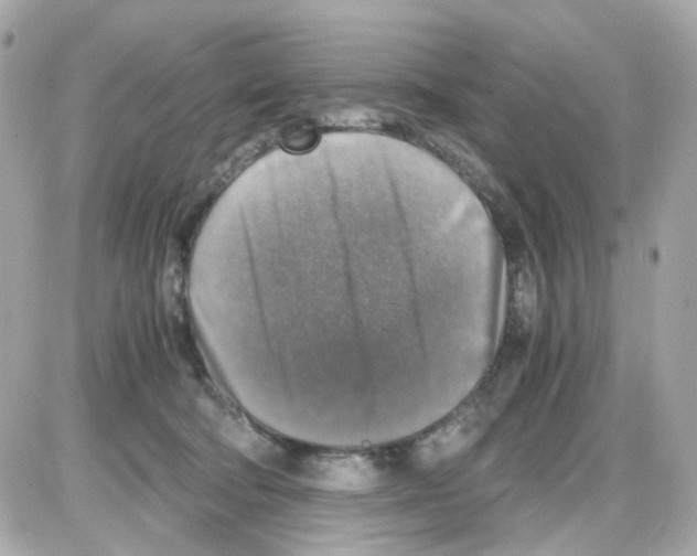 X0000085250322200704092055