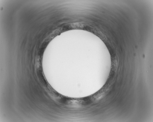 X0000085250323200704092055