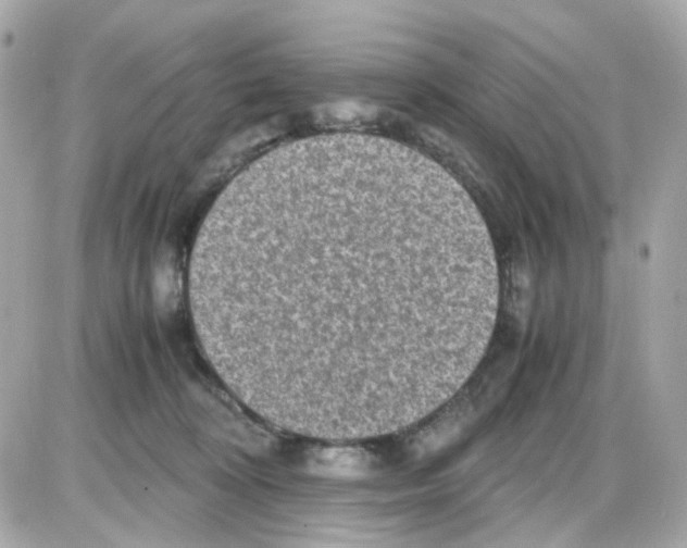 X0000085250324200704092055