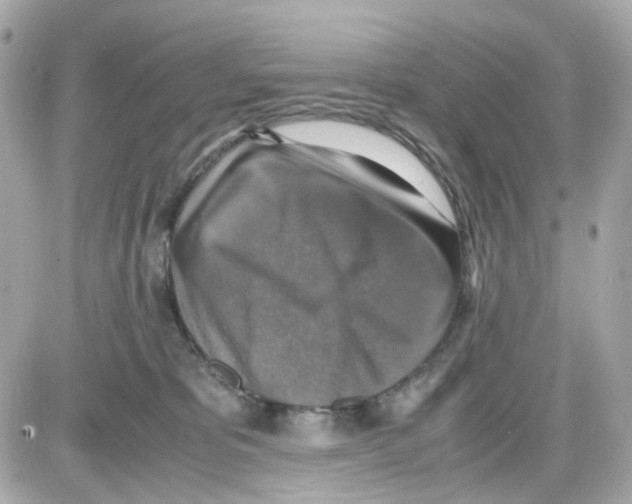 X0000085250325200704092055