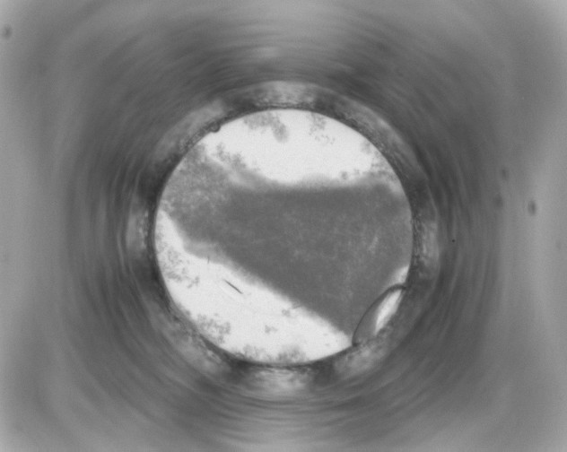 X0000085250326200704092055