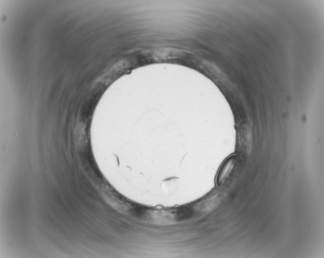 X0000085250327200704092055