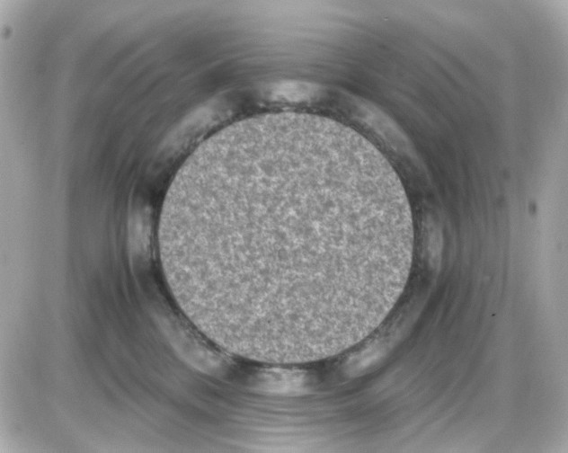 X0000085250328200704092055