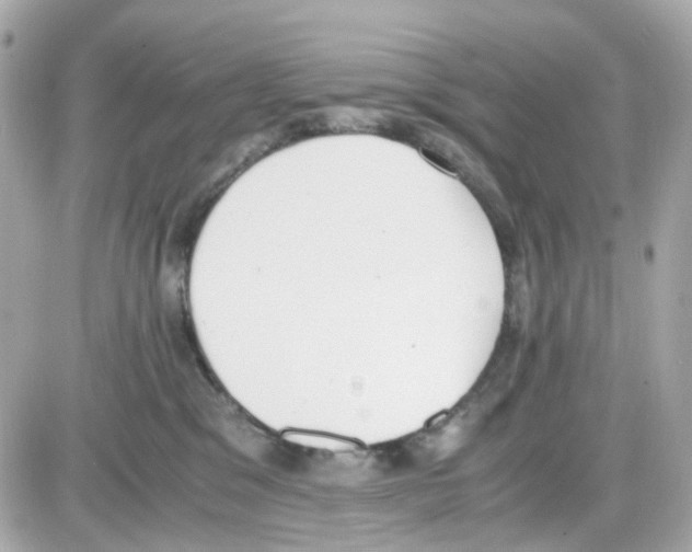 X0000085250329200704092055