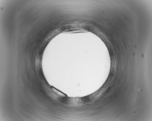 X0000085250333200704092055