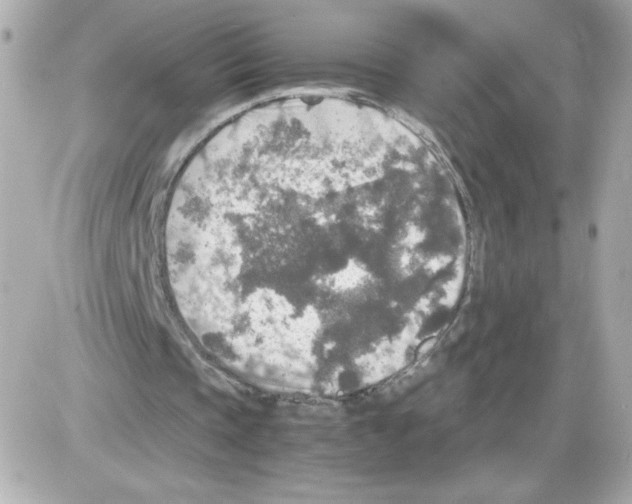 X0000085250337200704092054