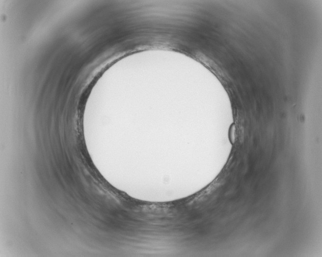 X0000085250338200704092054