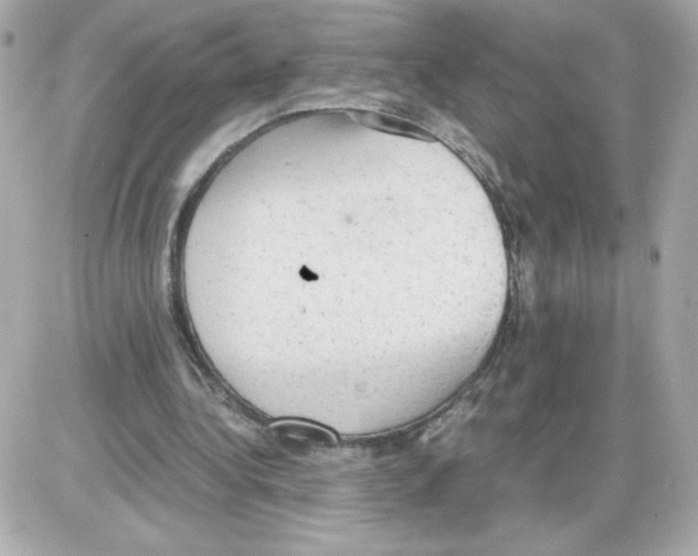 X0000085250340200704092054