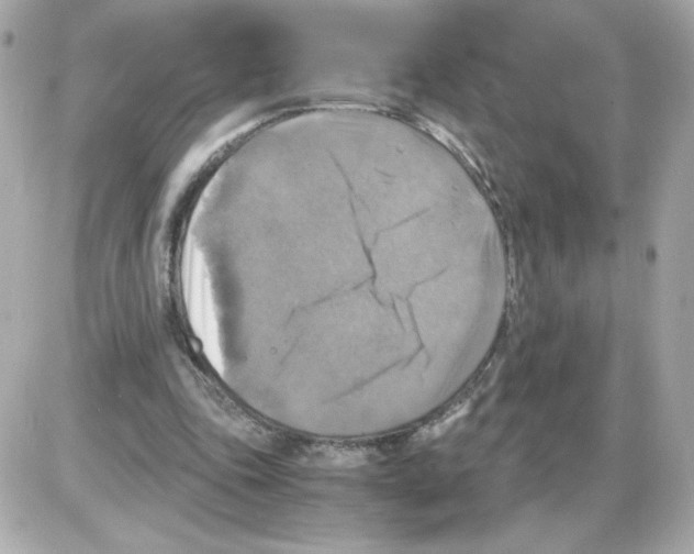 X0000085250343200704092054