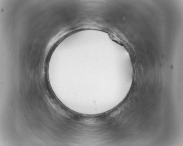 X0000085250344200704092054