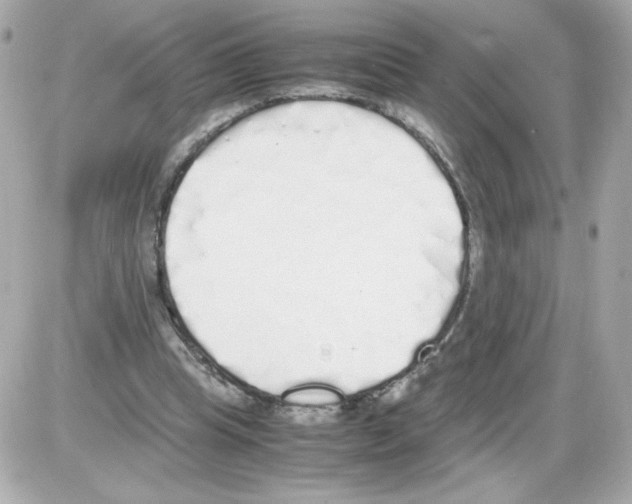 X0000085250345200704092054