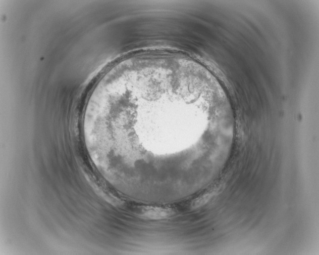 X0000085250347200704092054