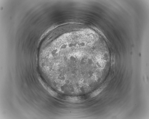 X0000085250349200704092054