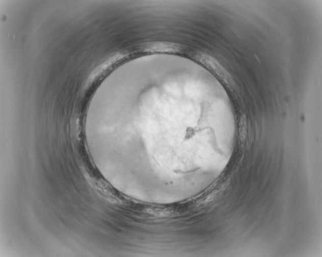 X0000085250351200704092054