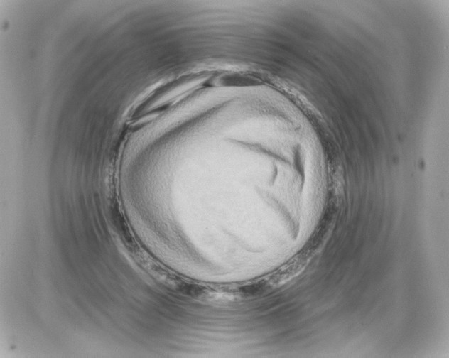 X0000085250352200704092054