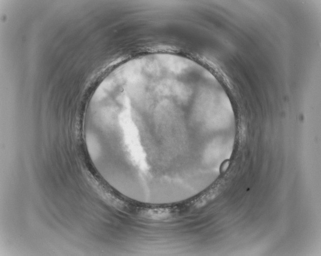 X0000085250353200704092054