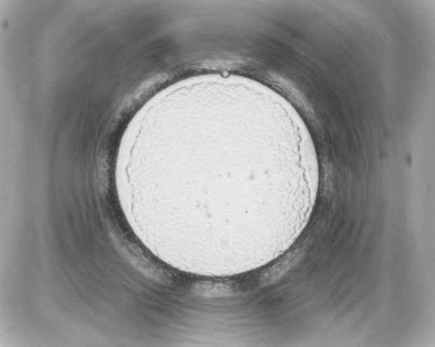 X0000085250354200704092054